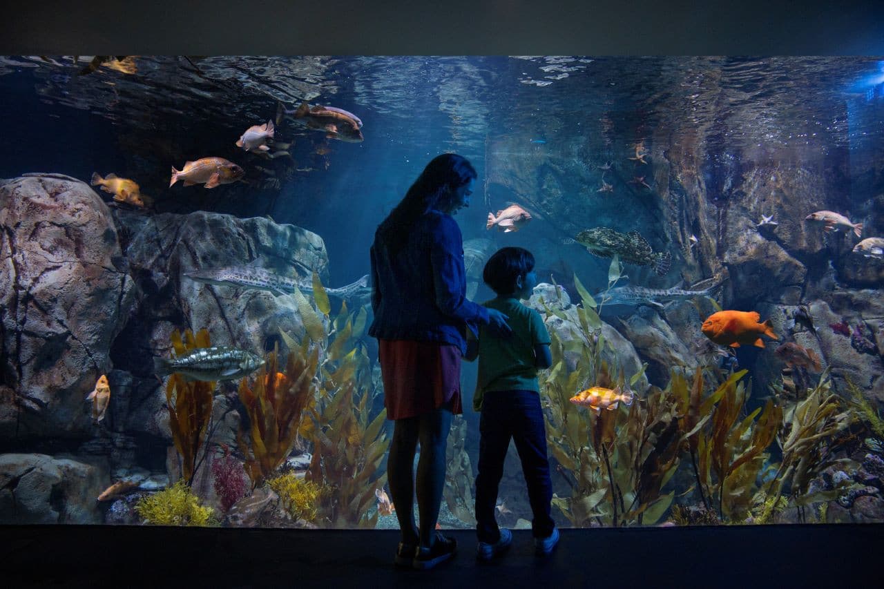 Go City Los Angeles All-Inclusive Pass Plus: Save up to 50% on Attractions
