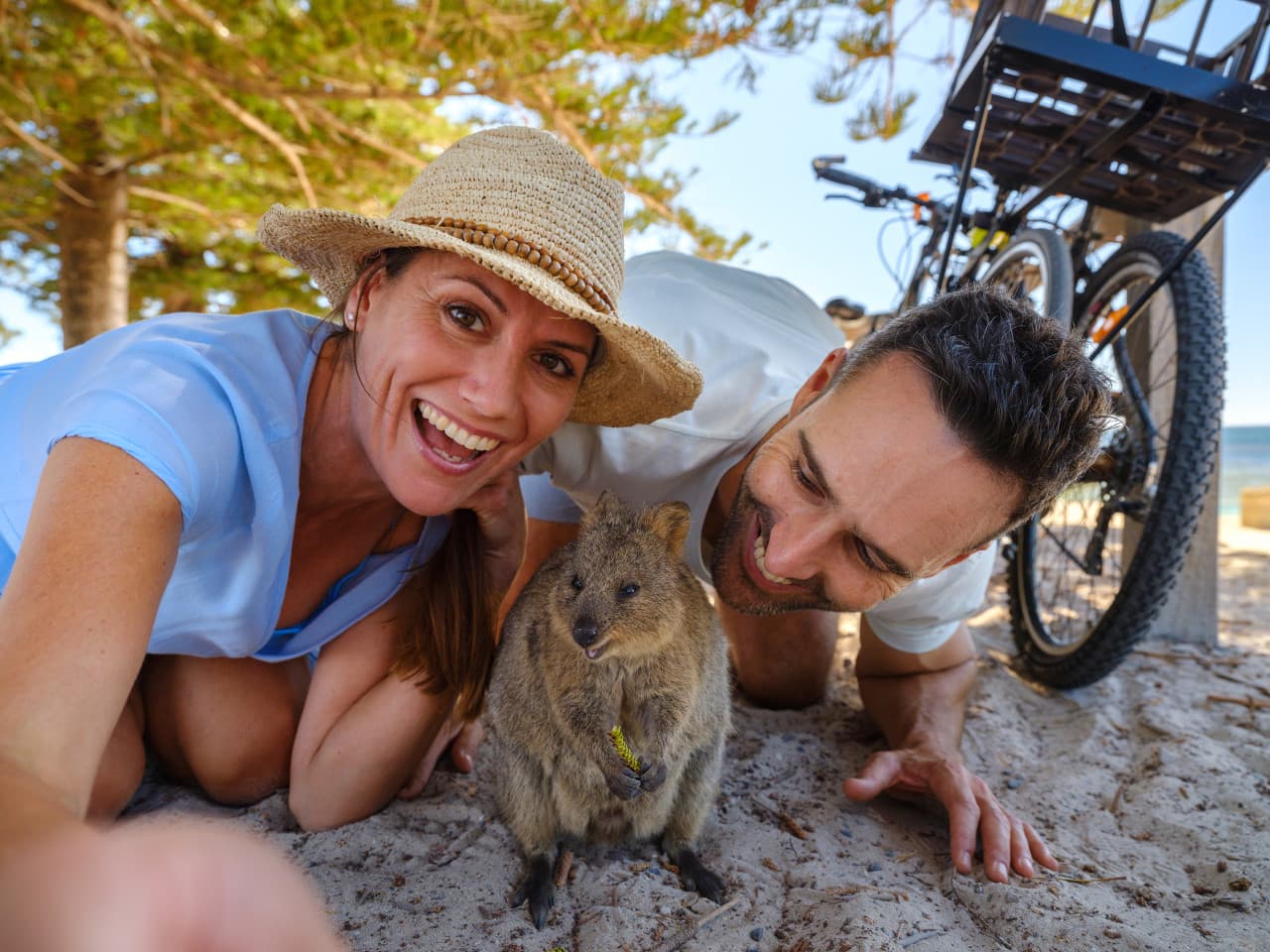 Round Trip SeaLink Ferry Transfer to Rottnest Island with Bike Hire