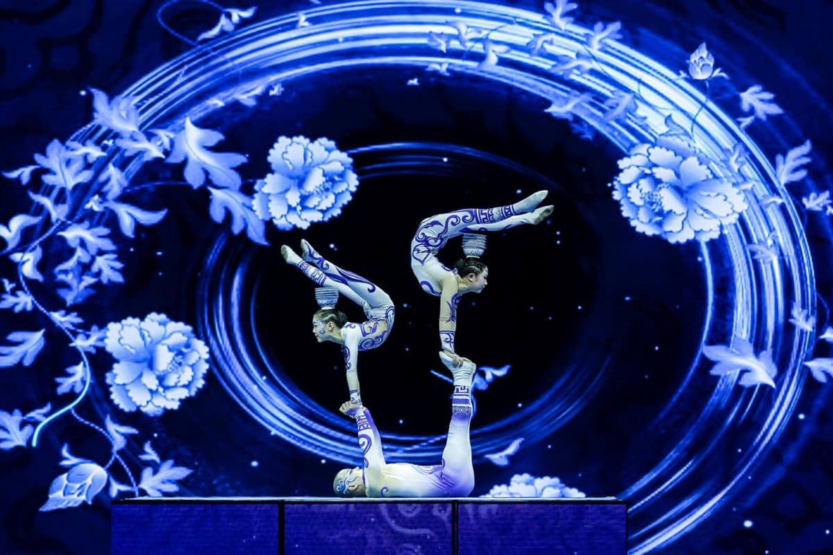 Acrobatic Show with Peking Roast Duck Dinner