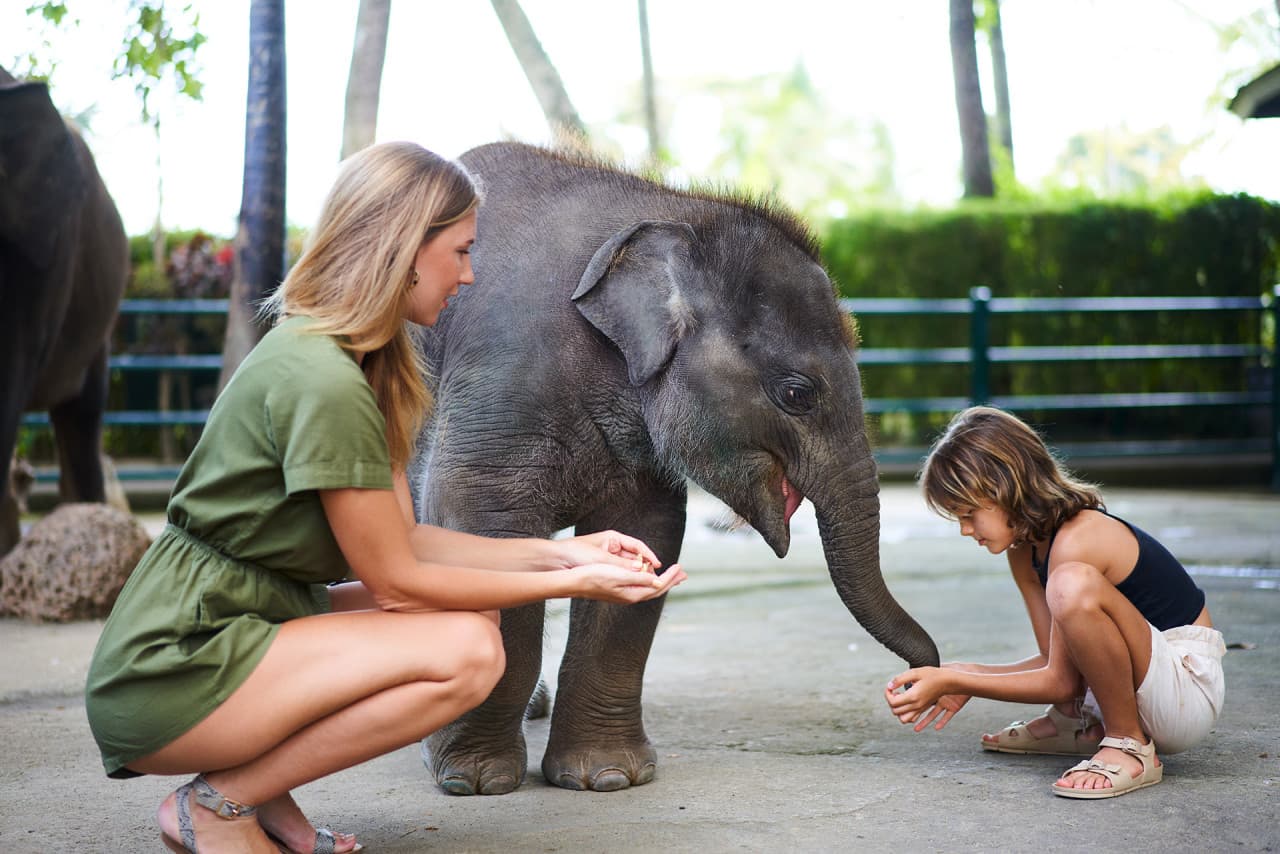 COMBO: Waterbom Bali + Mason Elephant Park Bali Tickets