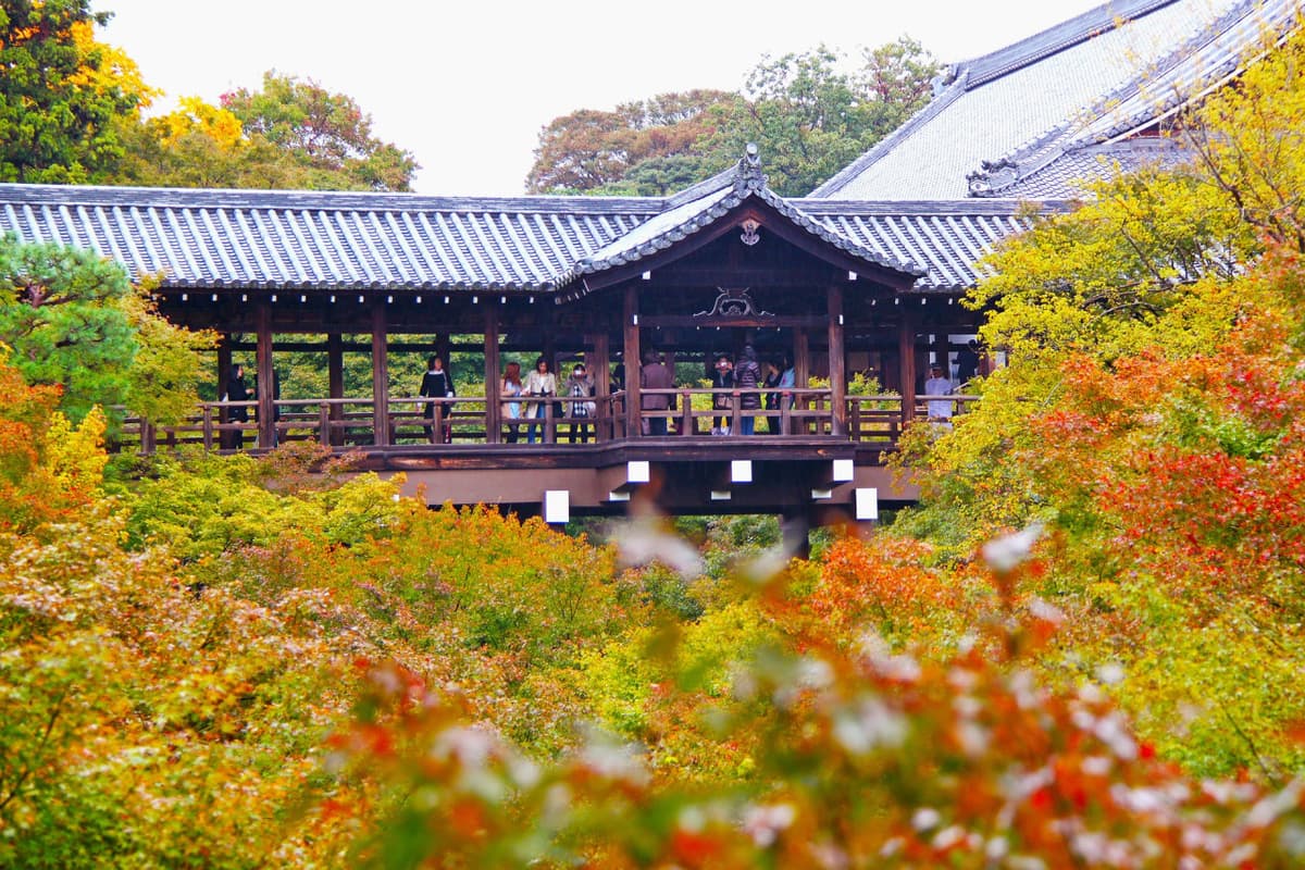 Kyoto-Osaka Sightseeing Pass