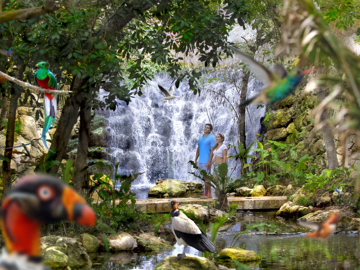 Go City Cancun All-Inclusive Pass: Save up to 50% on Attractions