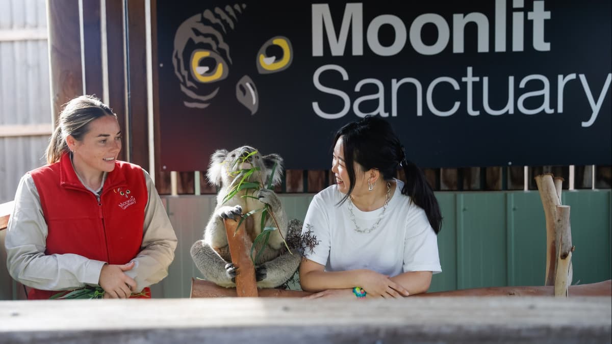 Moonlit Sanctuary Wildlife Conservation Park Ticket