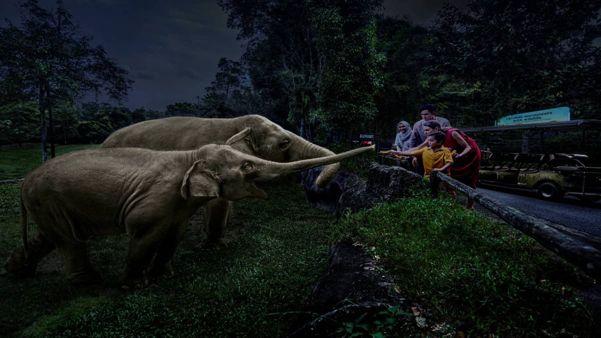 2-Park Destination Pass: Singapore Night Safari + River Wonders Tickets