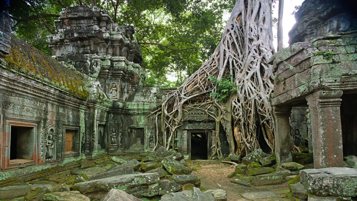 Angkor Temple Ruins Discovery