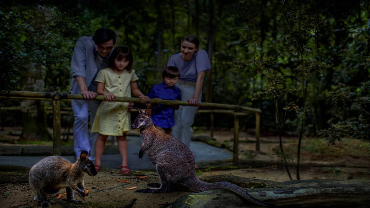 2-Park Destination Pass: Singapore Night Safari + River Wonders Tickets