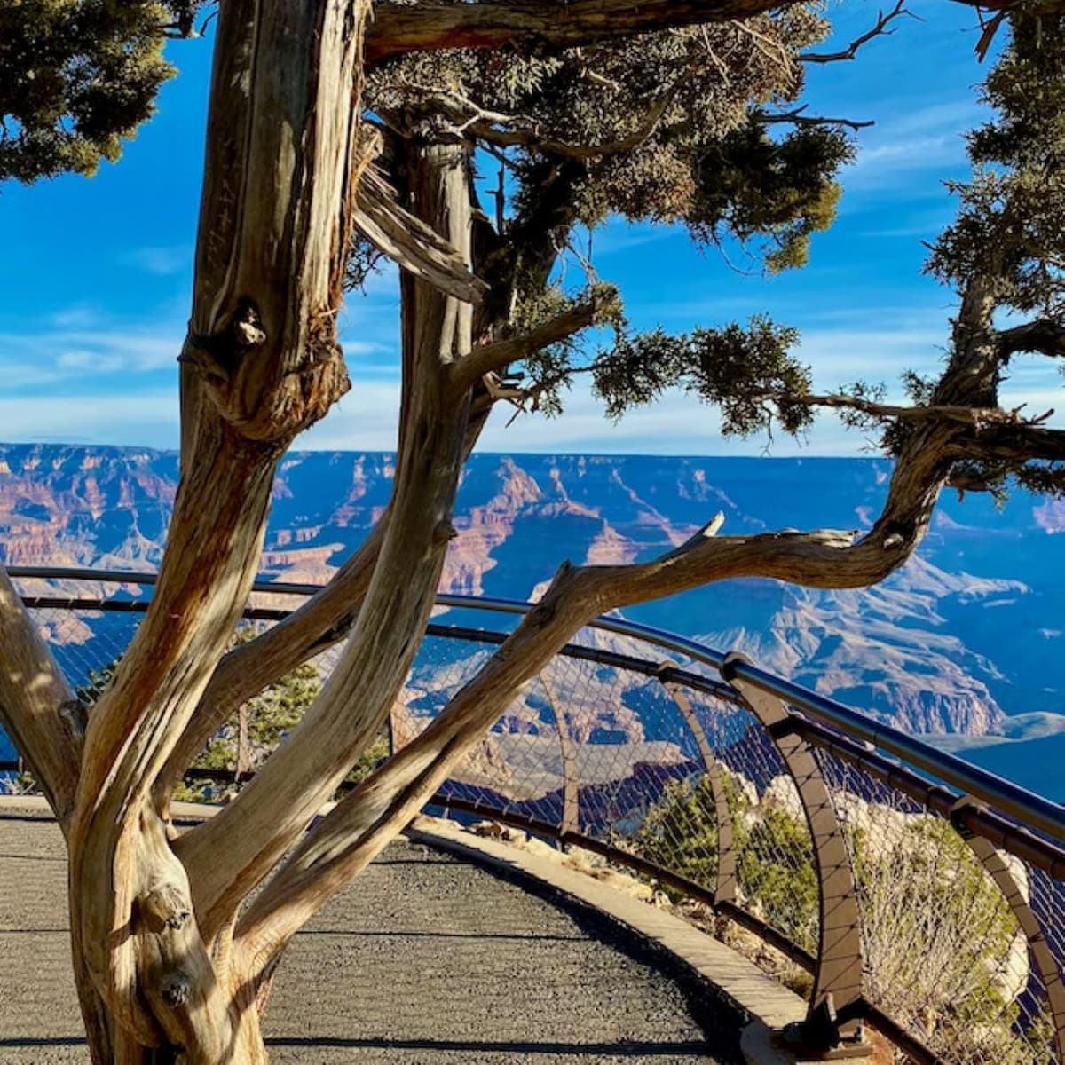 Grand Canyon National Park Tour from Las Vegas