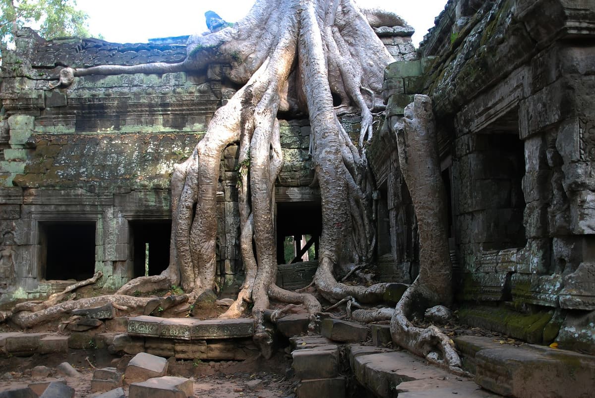 Angkor Wat and Siem Reap Temples Tour