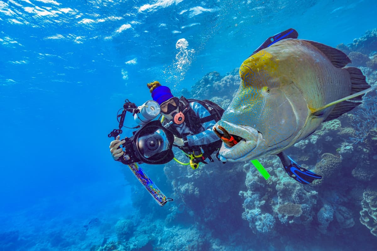 Reef Magic Pontoon Tour from Cairns