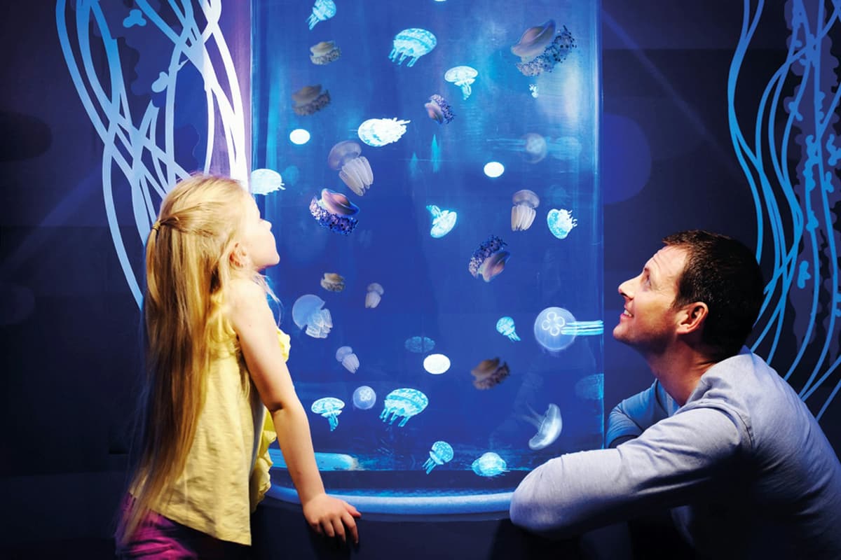 Gardaland SEA LIFE Aquarium Ticket