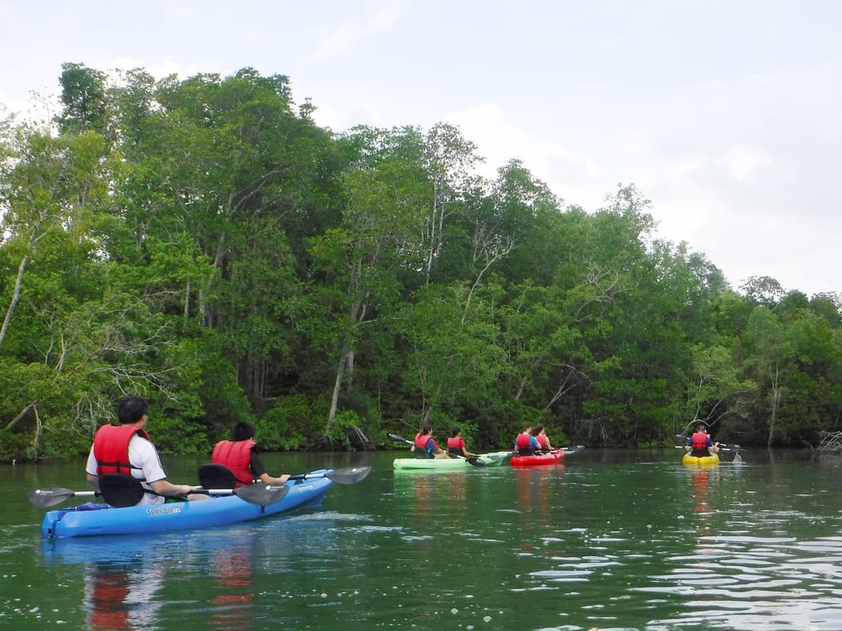 Pulau Ubin Kayaking