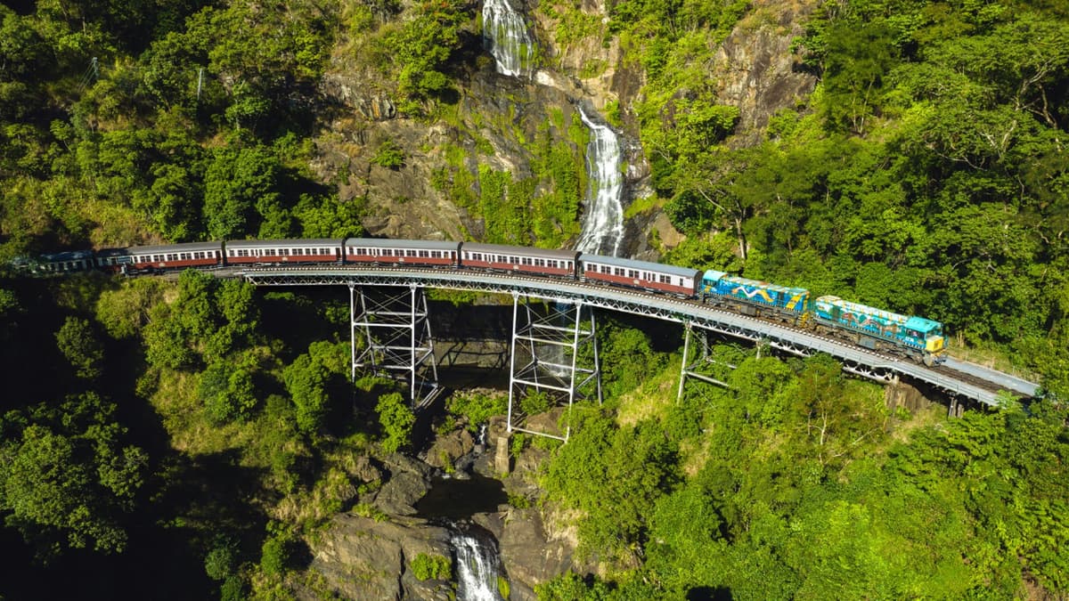 Skyrail Rainforest Cableway with Optional Kuranda Scenic Train Ticket and Hotel Pick-Up