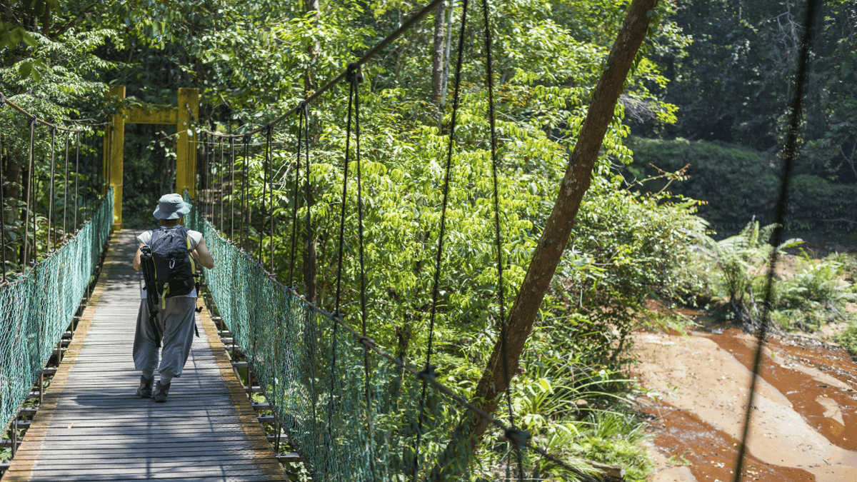 Taman Negara National Park Tour from Kuala Lumpur