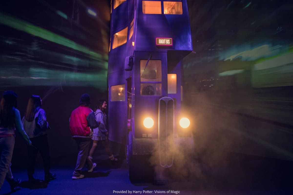 Harry Potter: Visions of Magic