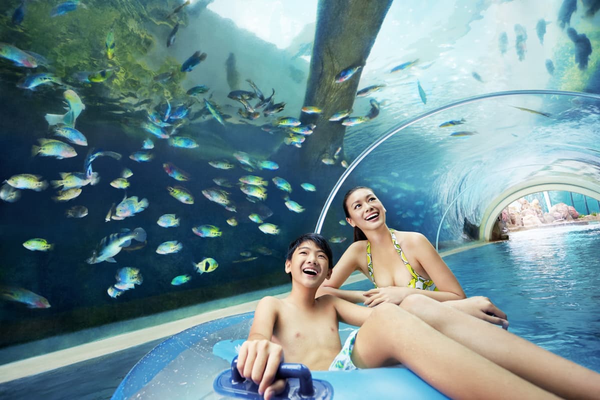 Adventure Cove Waterpark Express Pass