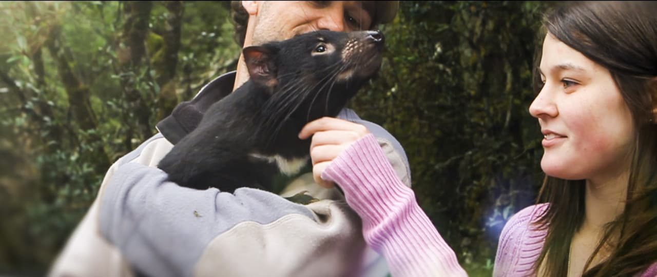 Richmond Village and Bonorong Wildlife Sanctuary Tour