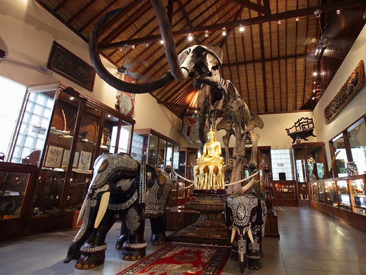 Mason Elephant Park Bali by Mason Adventures (Formerly known as Elephant Safari Park)