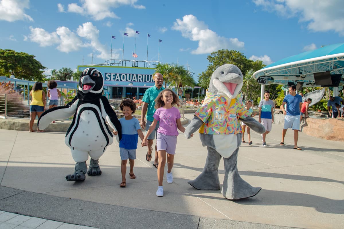 Go City Miami All-Inclusive Pass: Save up to 50% on Attractions