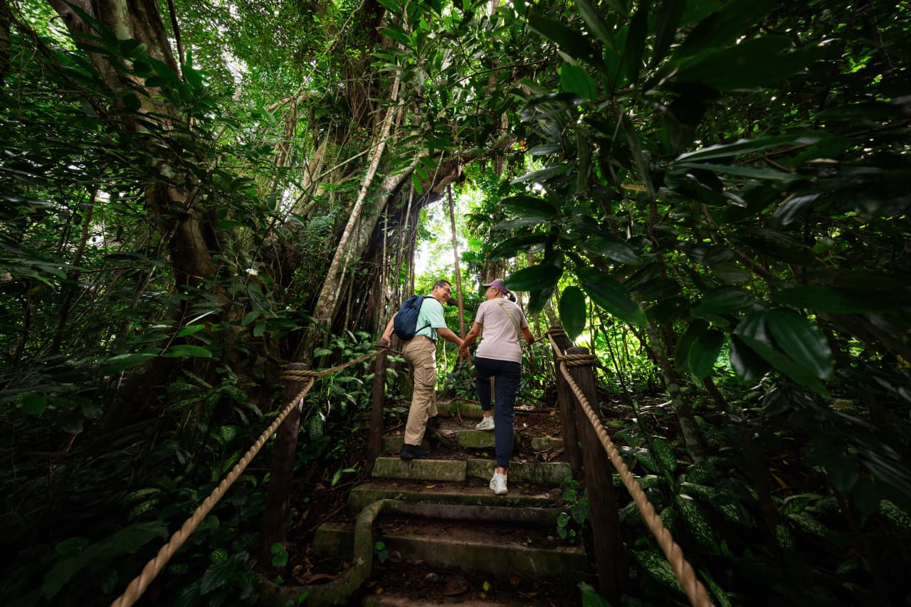 Rainforest Wild Adventure Ticket