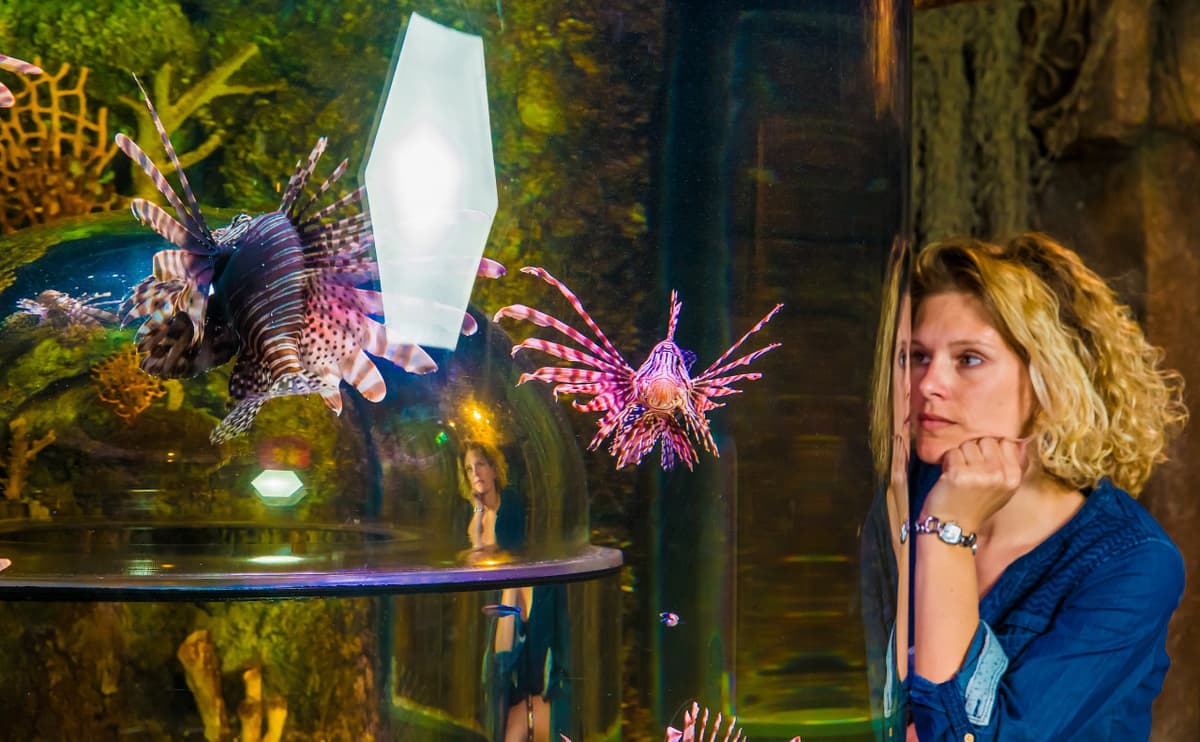 SEA LIFE Timmendorfer Strand Aquarium Ticket
