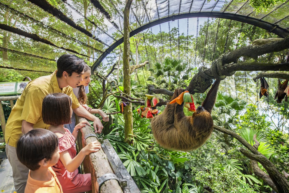 2-Park Destination Pass: Singapore Night Safari + Singapore Zoo Tickets
