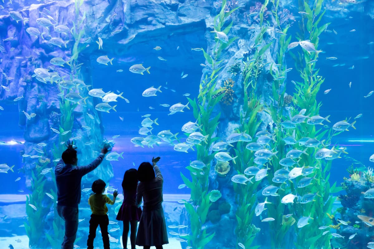 COMBO: Lotte World Adventure Seoul + Lotte World Aquarium + Seoul Sky Observatory Tickets
