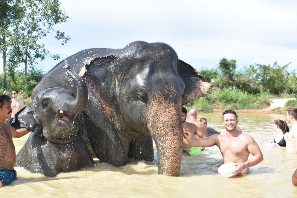 Elephant Jungle Sanctuary Pattaya