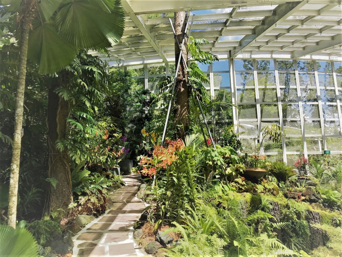 National Orchid Garden Ticket