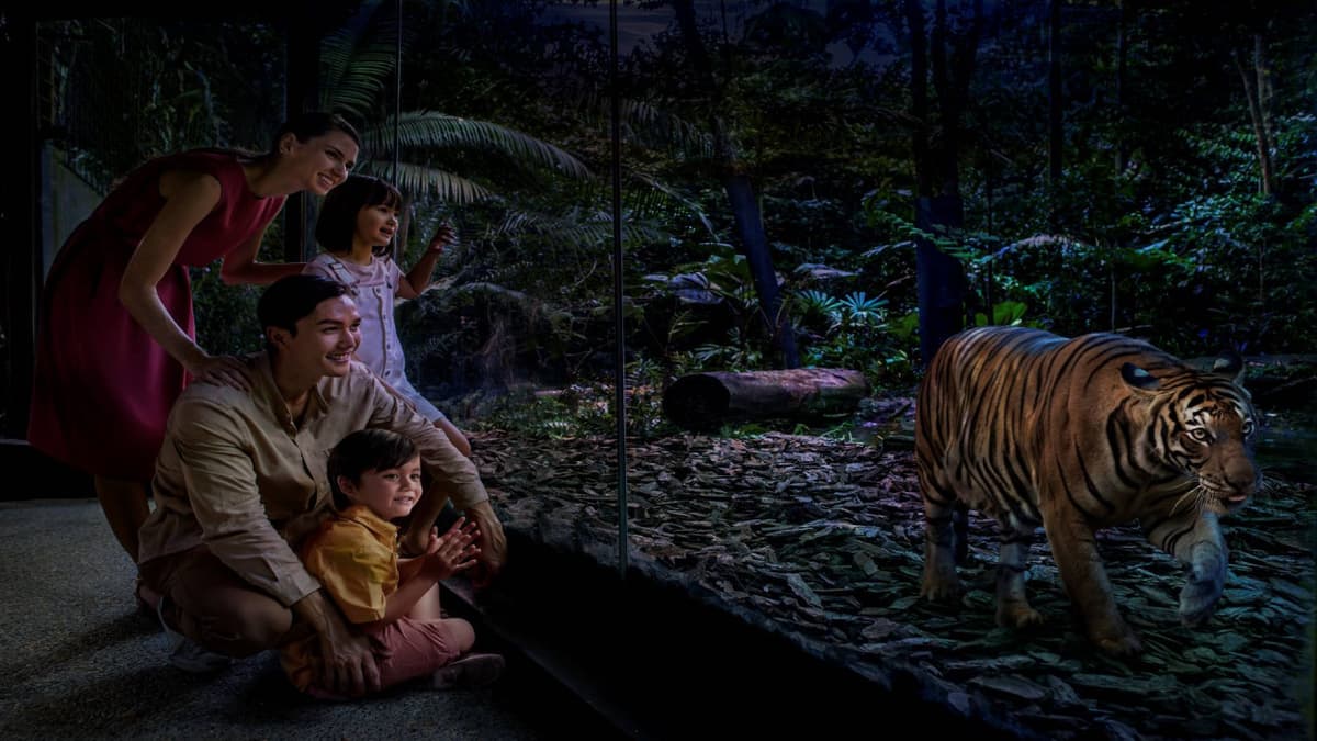 2-Park Destination Pass: Singapore Night Safari + Singapore Zoo Tickets