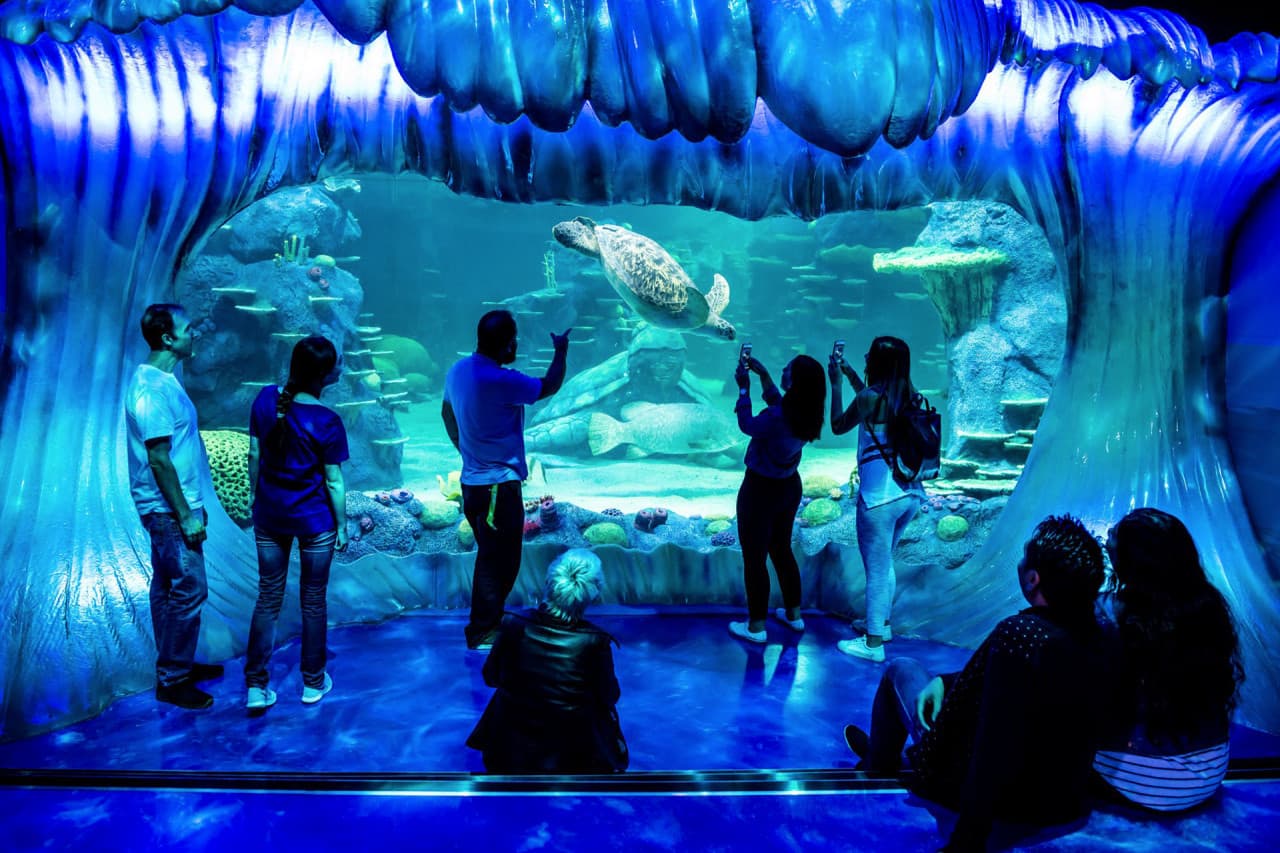 SEA LIFE Sydney Aquarium Direct Entry Ticket