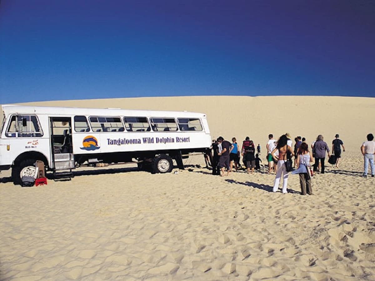 Tangalooma Island Tour with Dolphin Viewing