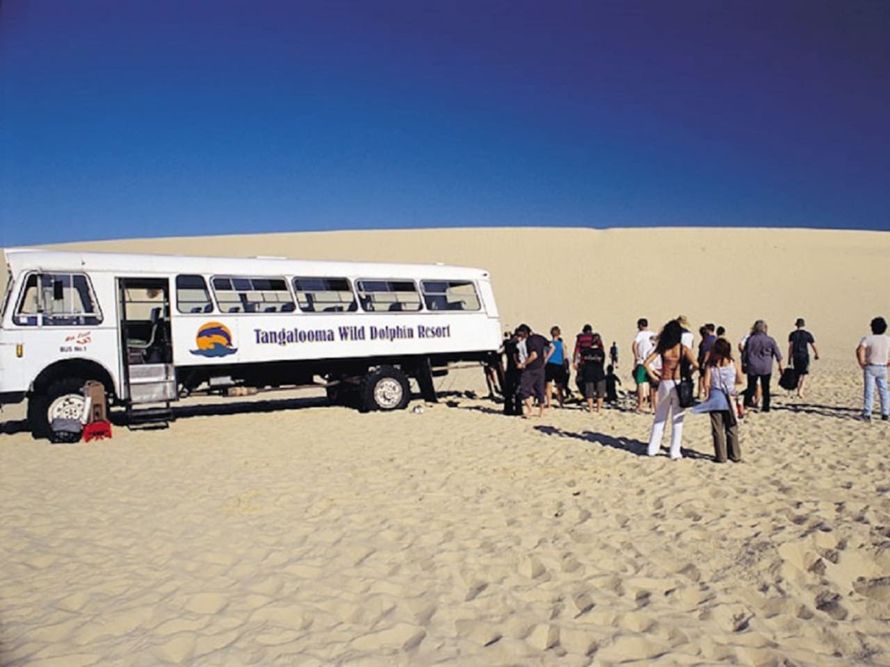 Tangalooma Island Tour with Dolphin Viewing