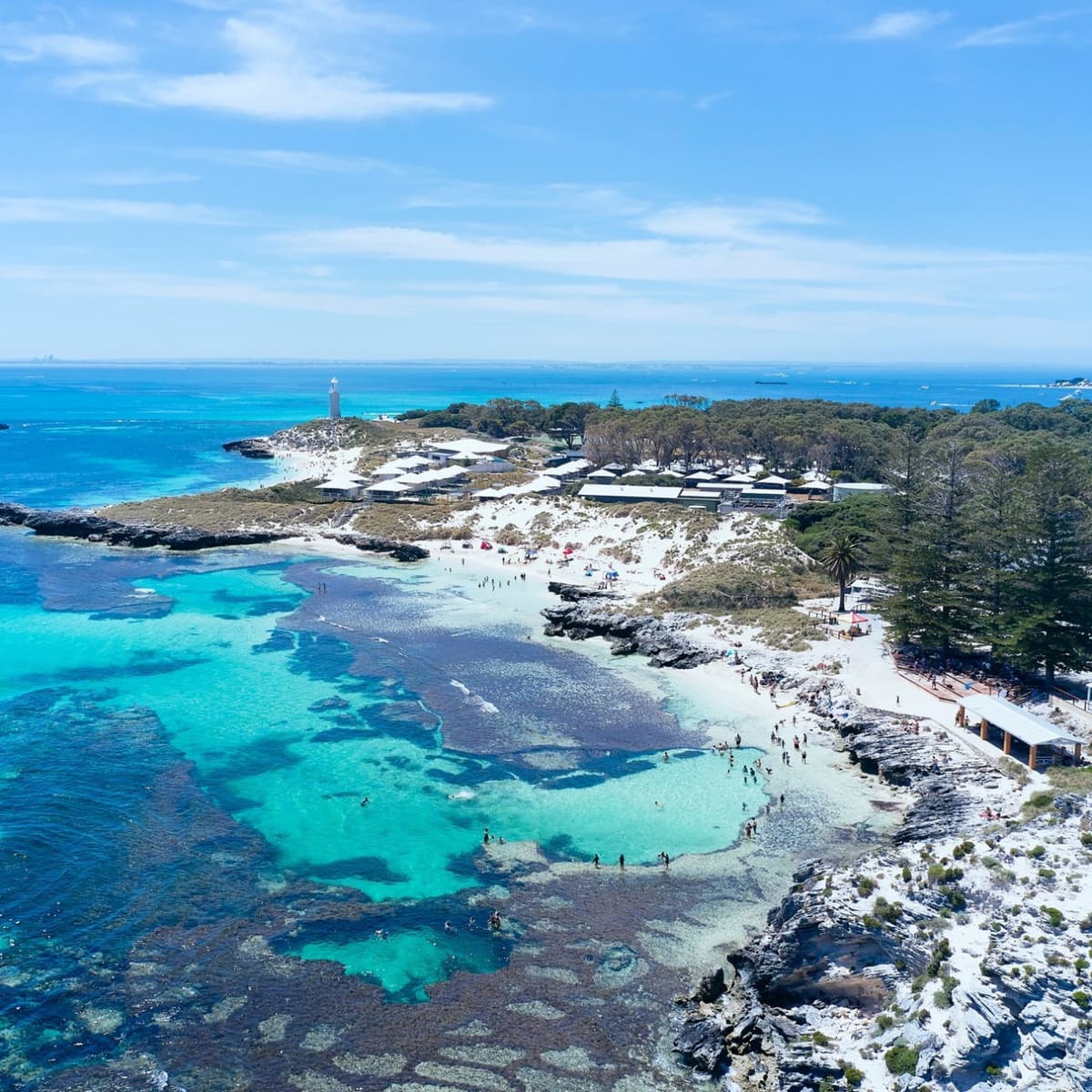 Rottnest Island Bayseeker Bus Tour with Round Trip SeaLink Ferry Transfer