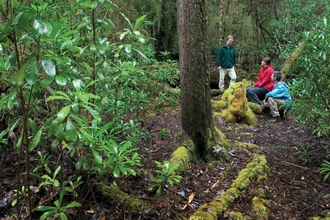 Huon Valley Tour