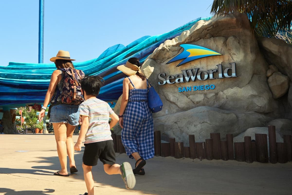 SeaWorld San Diego Ticket: Direct Entry