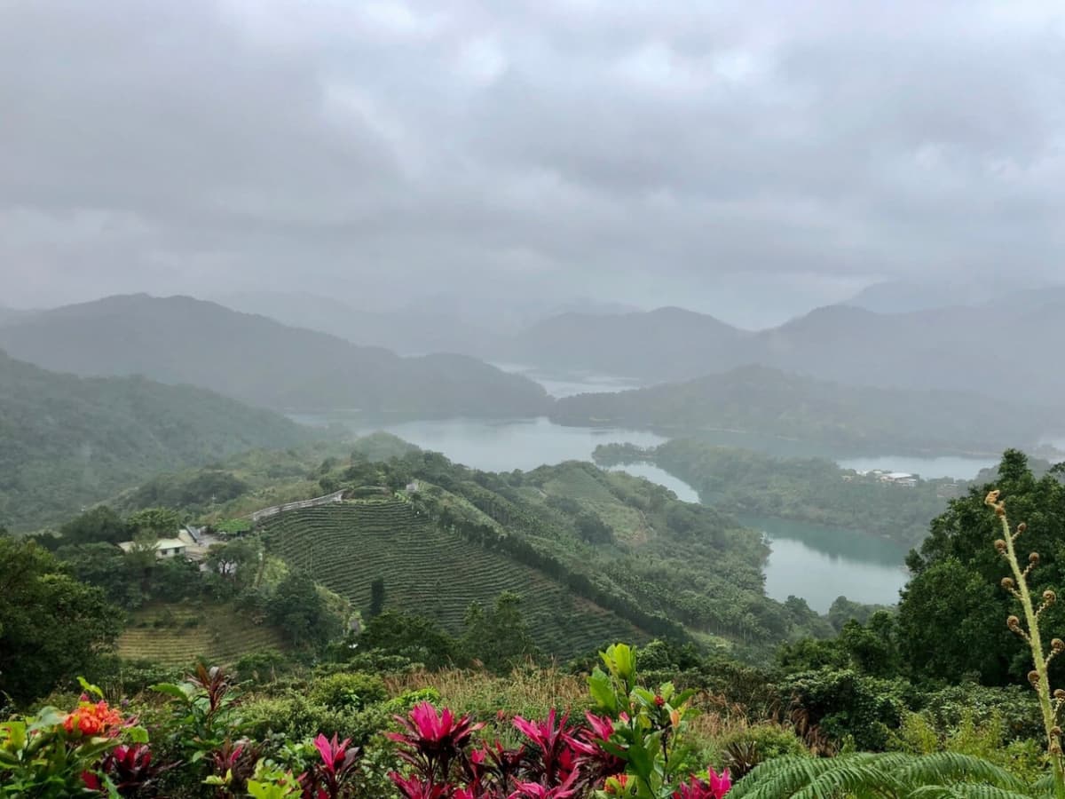 Pinglin Tea Culture and Maokong Full-Day Tour from Taipei