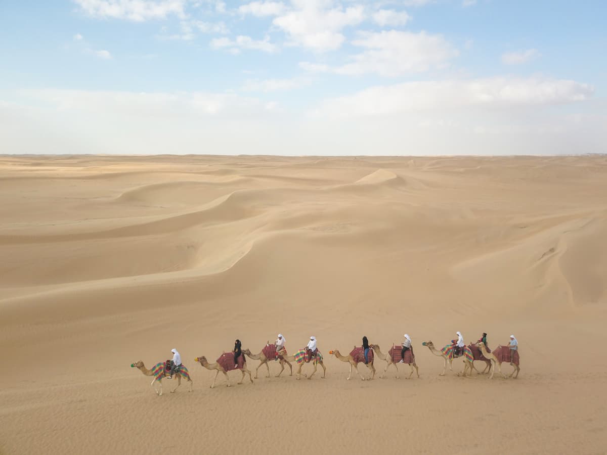 Half-Day Desert Safari, Camel Ride with Refreshments