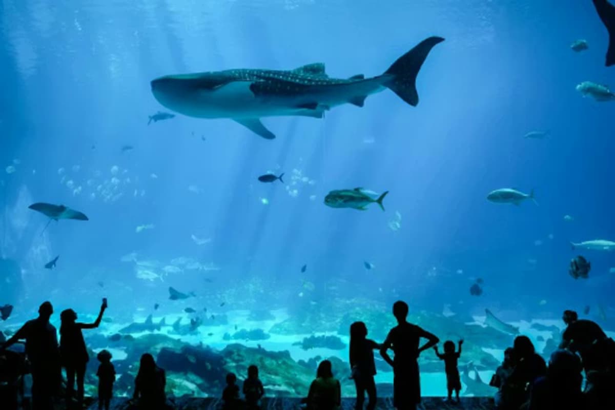 Georgia Aquarium: Fast Track Ticket