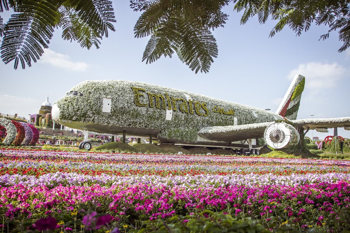 COMBO: Dubai Miracle Garden + Dubai Butterfly Garden Tickets