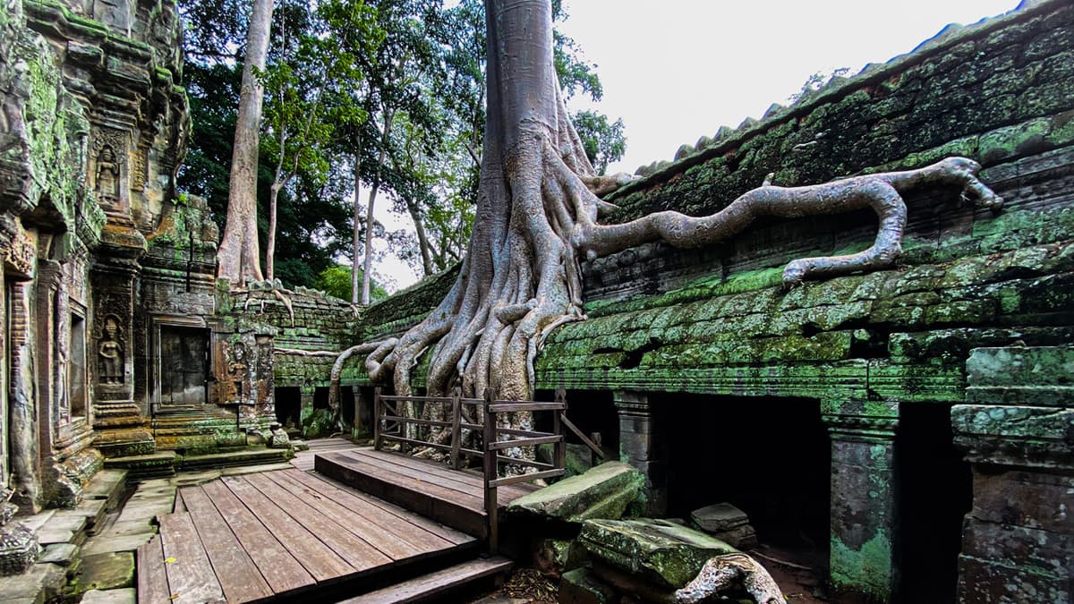 Angkor Temples Tour