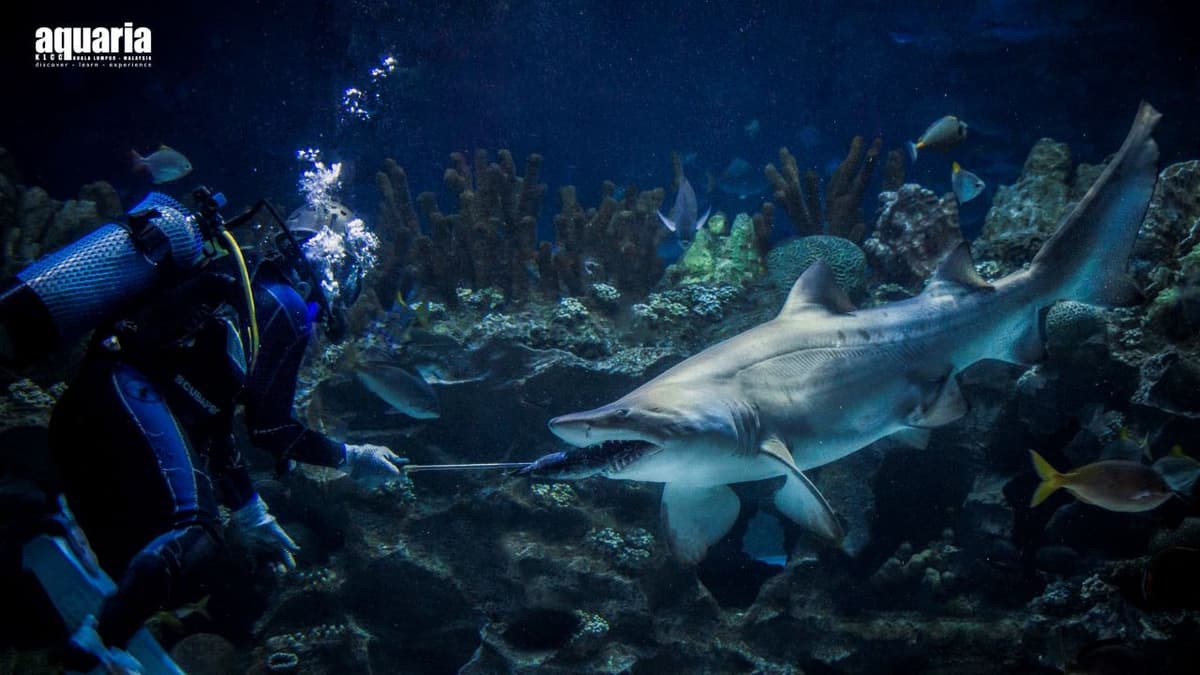 Aquaria KLCC Ticket