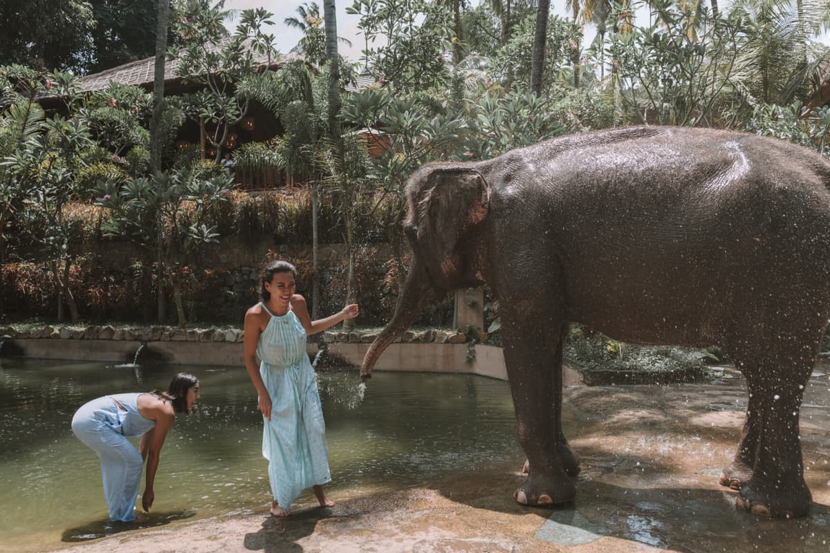 Lombok Wildlife Park Elephant Bath Experience