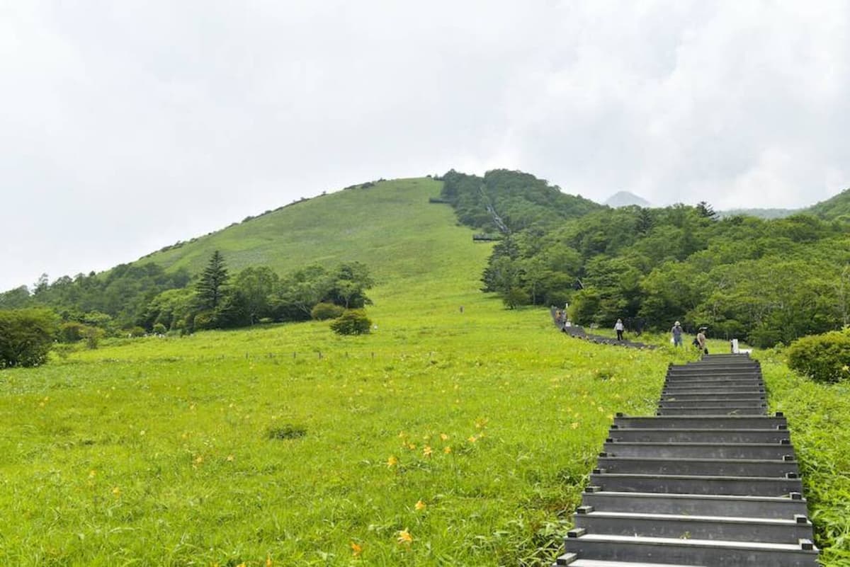 Nikko Pass All Area