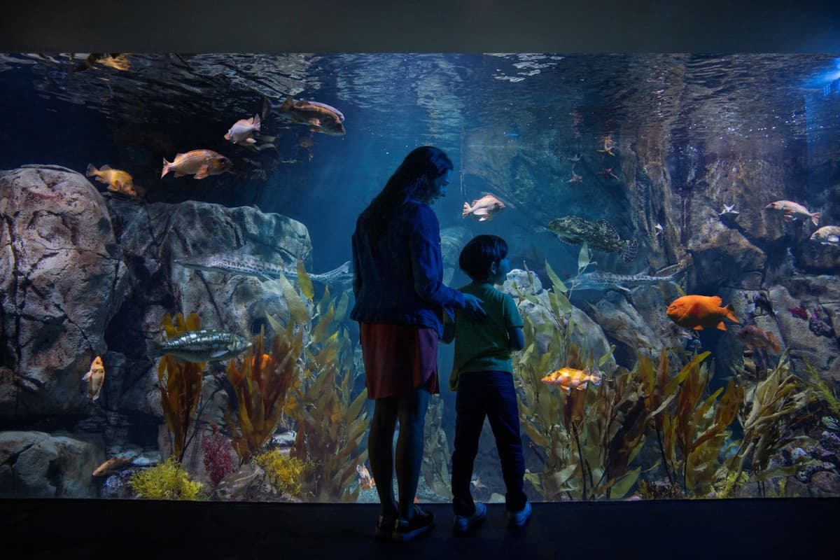 Go City Los Angeles All-Inclusive Pass: Save up to 50% on Attractions