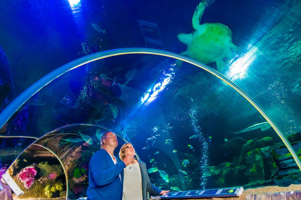SEA LIFE Timmendorfer Strand Aquarium Ticket
