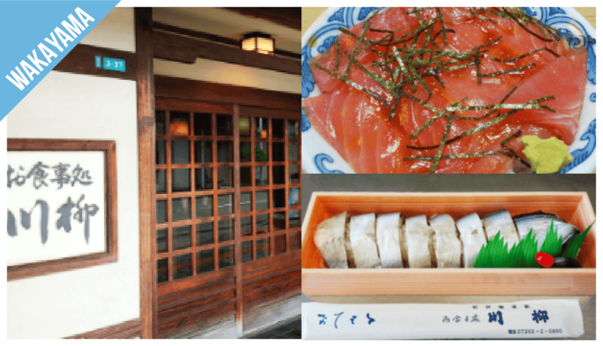 Have Fun in Wakayama Pass - 1 Week Free Pass