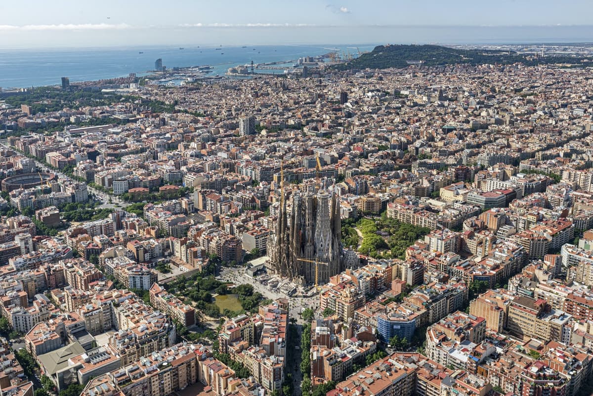 Sagrada Familia Ticket with Optional Tower Access
