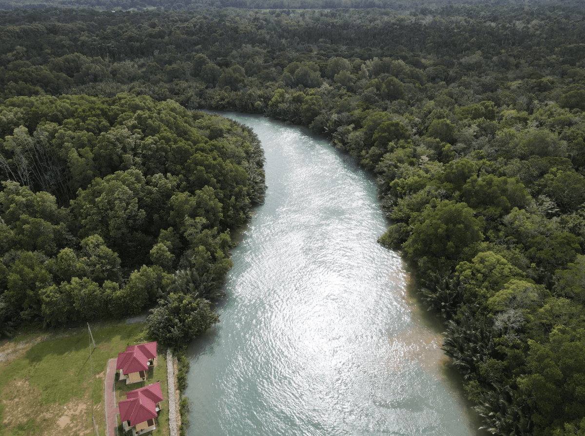 Lebam River Kayaking Adventure
