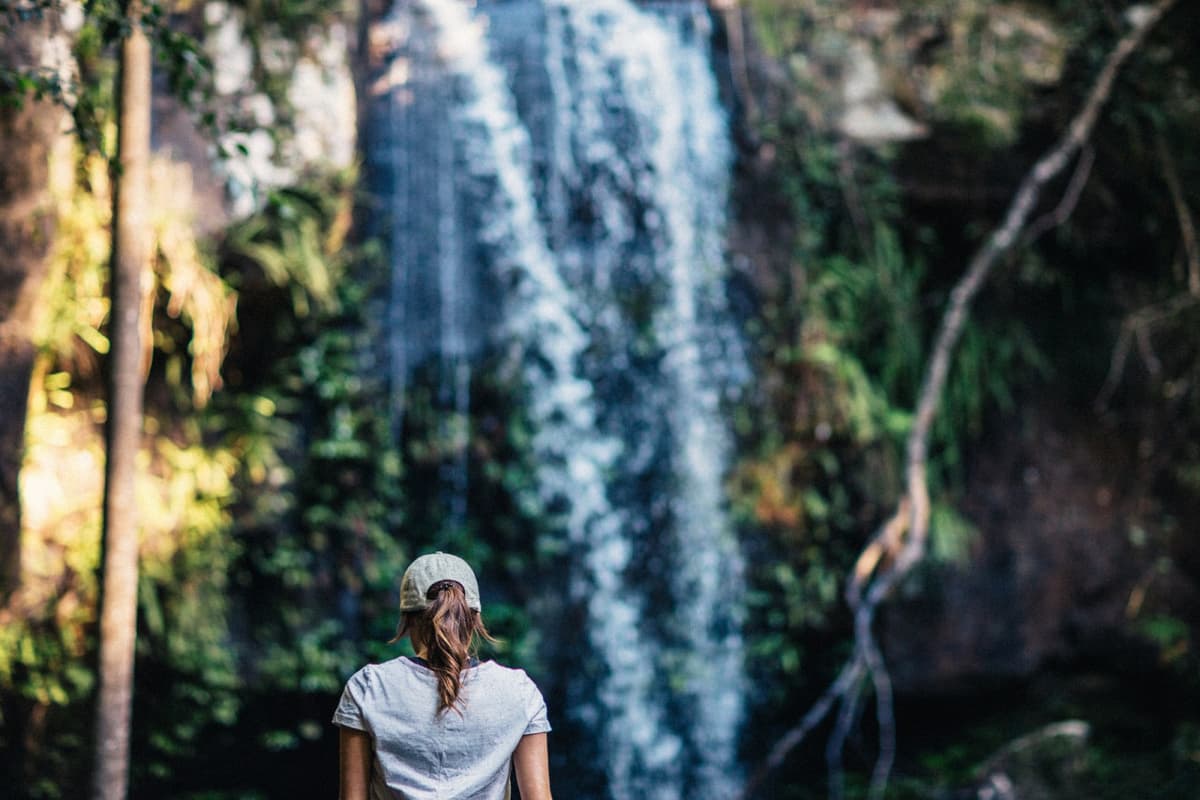 Tamborine Mountain Guided Walk and Wine Tasting Tour