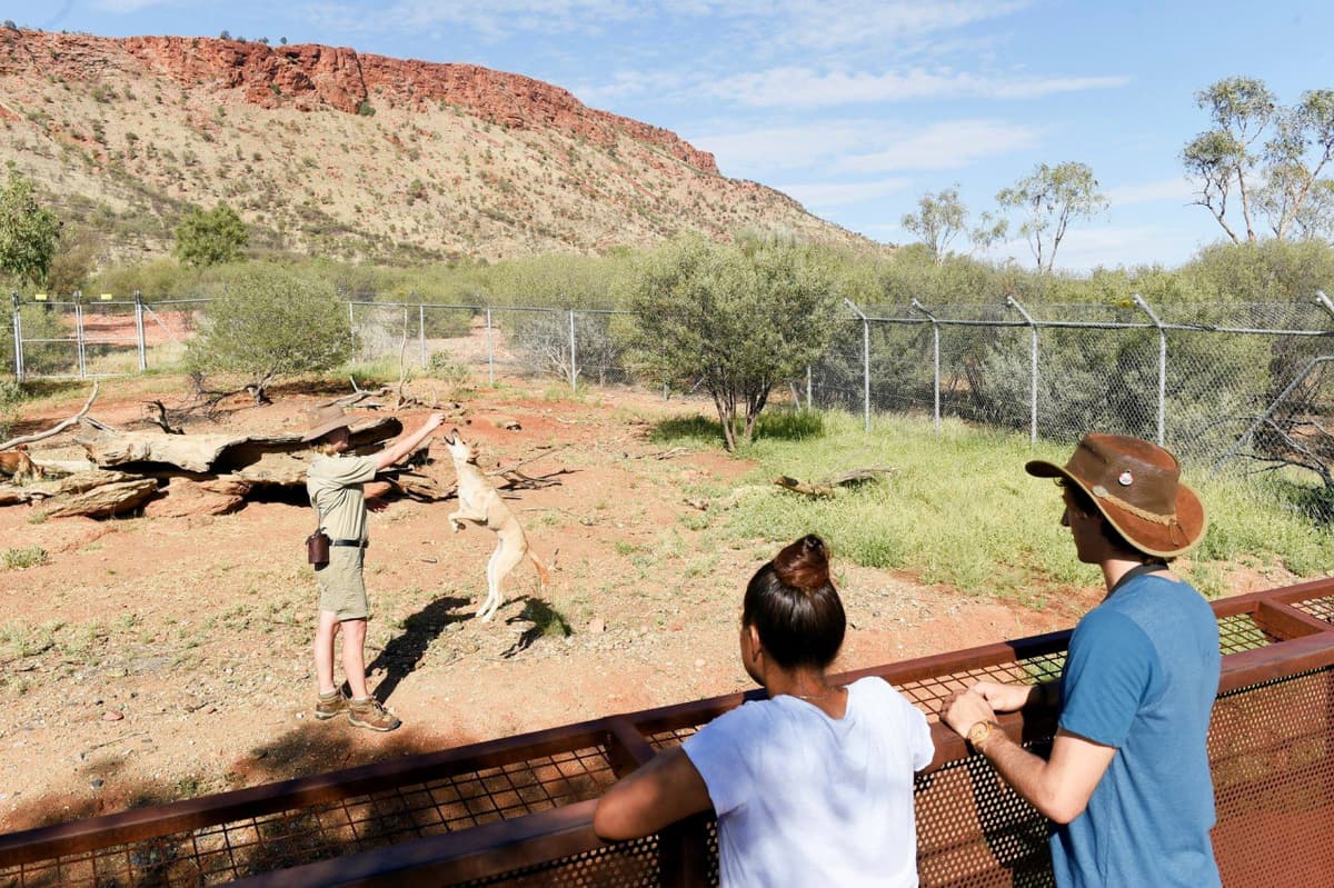 Alice Springs Desert Park